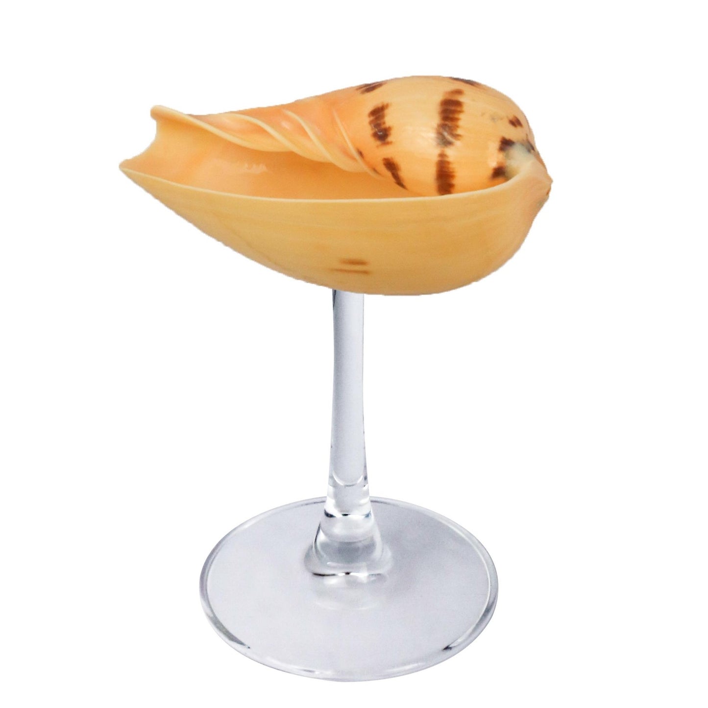 Creative Gifts Natural conch cup Conch glass Suitable for wedding bridesmaids gift Valentine's Day souvenir gift