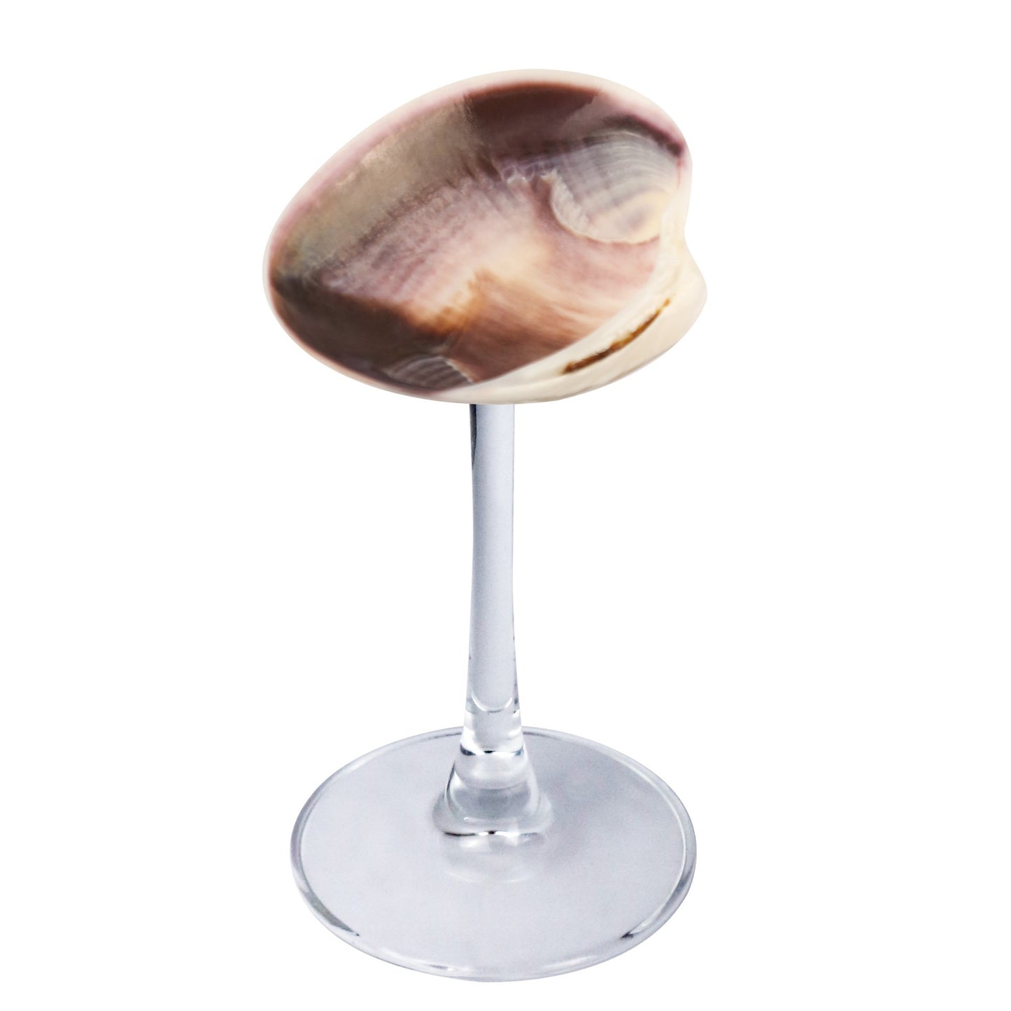 Creative Gifts Natural conch cup Conch glass Suitable for wedding bridesmaids gift Valentine's Day souvenir gift