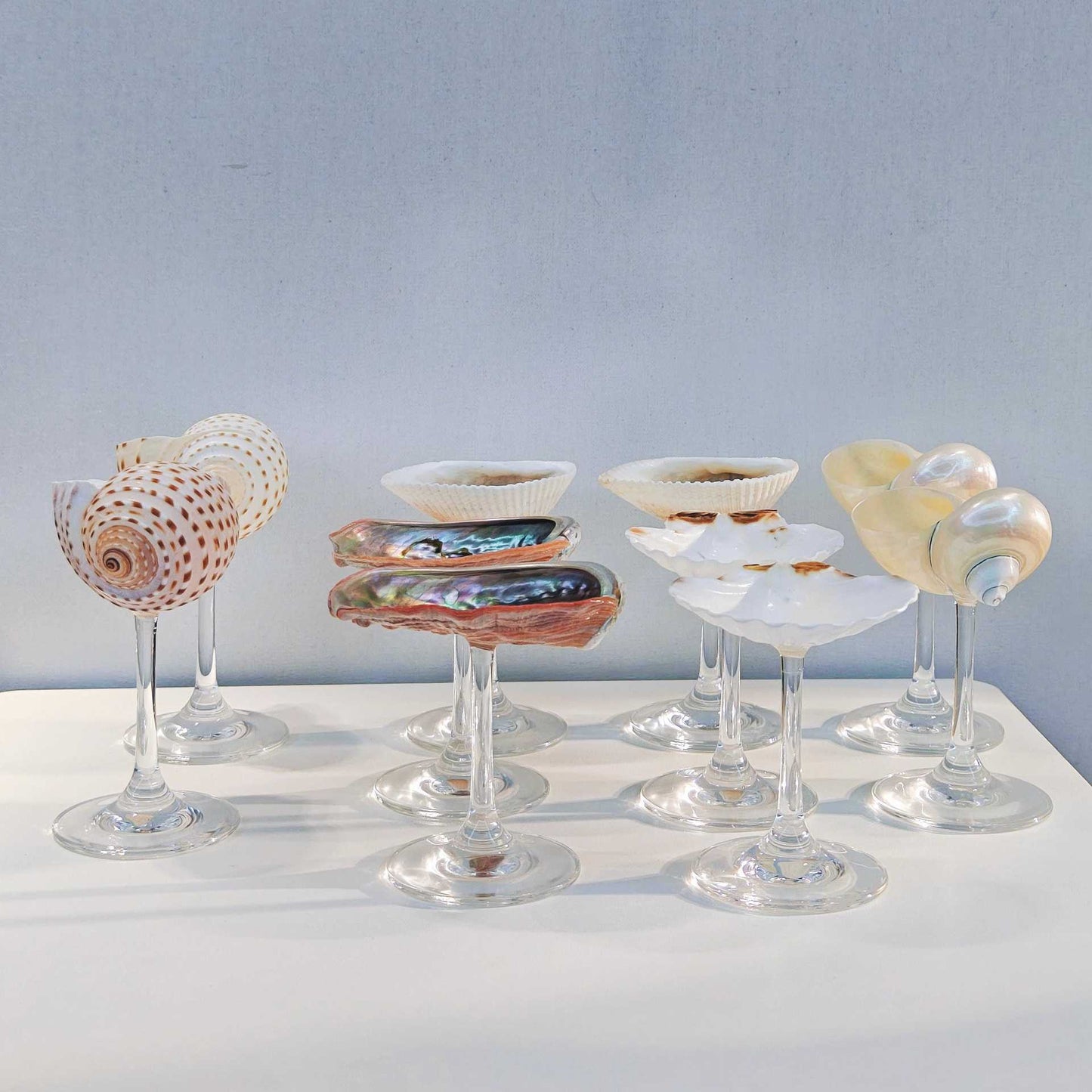 Creative Gifts Natural conch cup Conch glass Suitable for wedding bridesmaids gift Valentine's Day souvenir gift