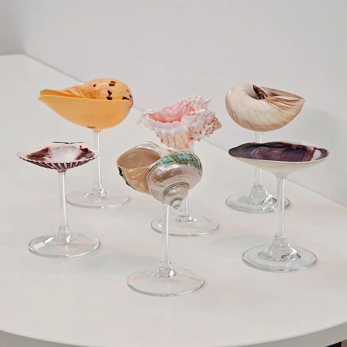 Creative Gifts Natural conch cup Conch glass Suitable for wedding bridesmaids gift Valentine's Day souvenir gift