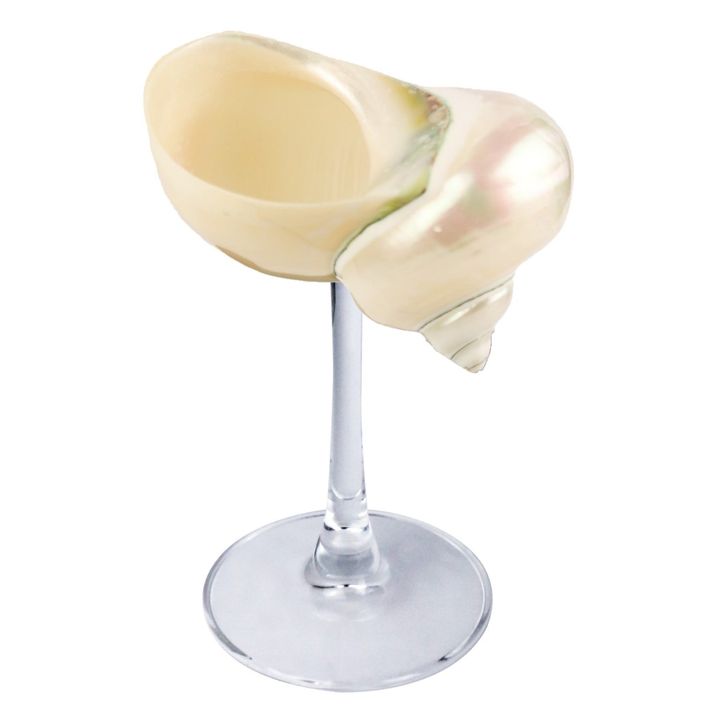 Creative Gifts Natural conch cup Conch glass Suitable for wedding bridesmaids gift Valentine's Day souvenir gift