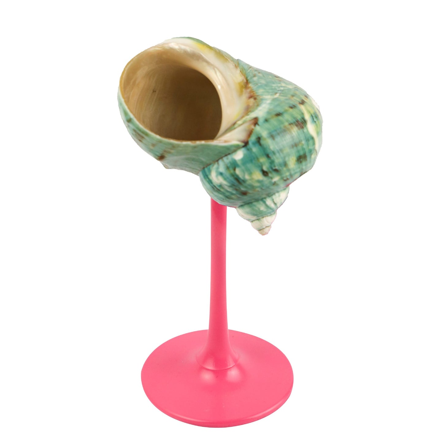 Creative Gifts Natural conch cup Conch glass Suitable for wedding bridesmaids gift Valentine's Day souvenir gift