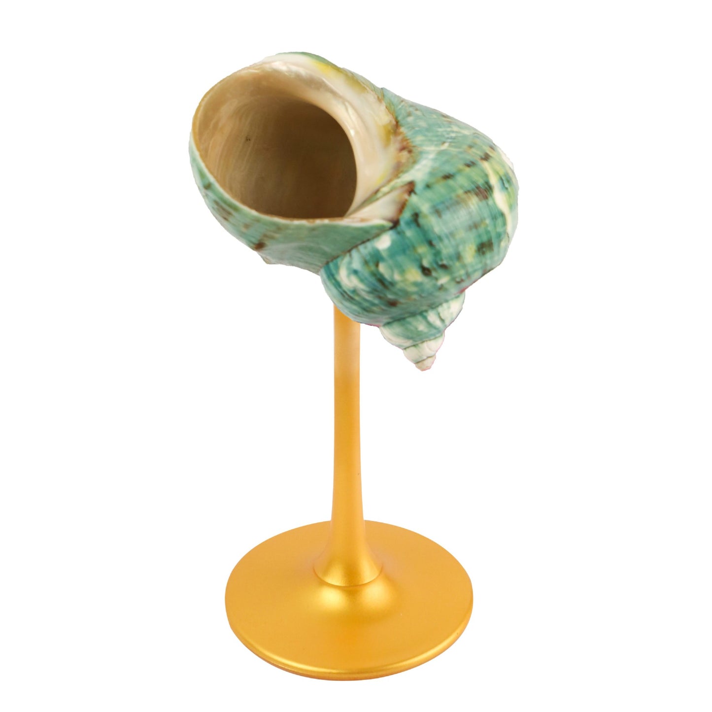 Creative Gifts Natural conch cup Conch glass Suitable for wedding bridesmaids gift Valentine's Day souvenir gift